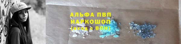 гидра Кинешма
