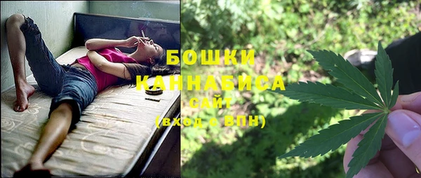 гидра Кинешма