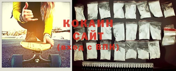гидра Кинешма
