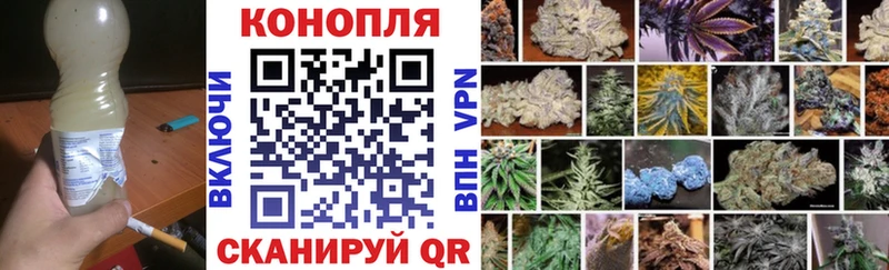 Купить  Бирюч  Бошки марихуана план 